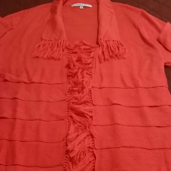 Chesca - Picture 6 of 15